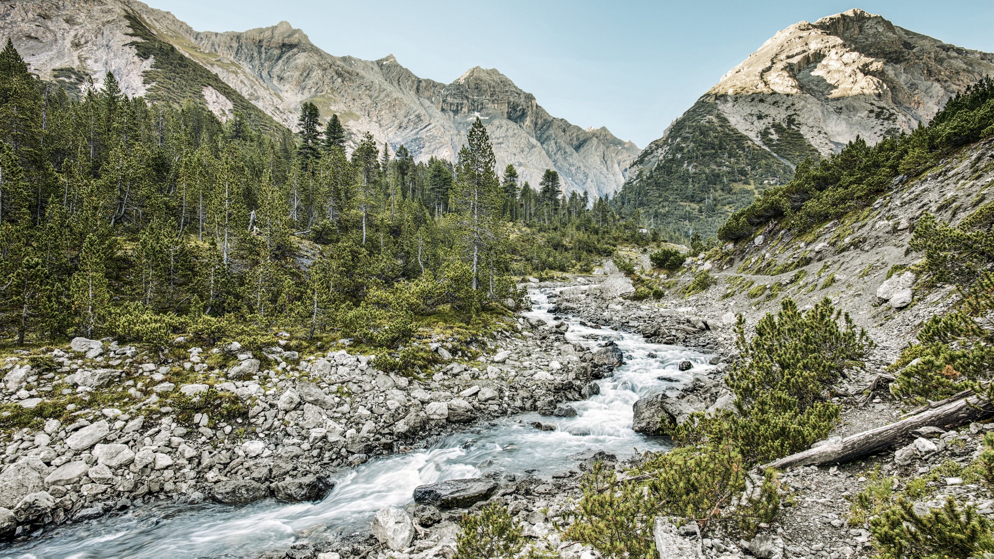 Parque Nacional Suiza Suiza Turismo 